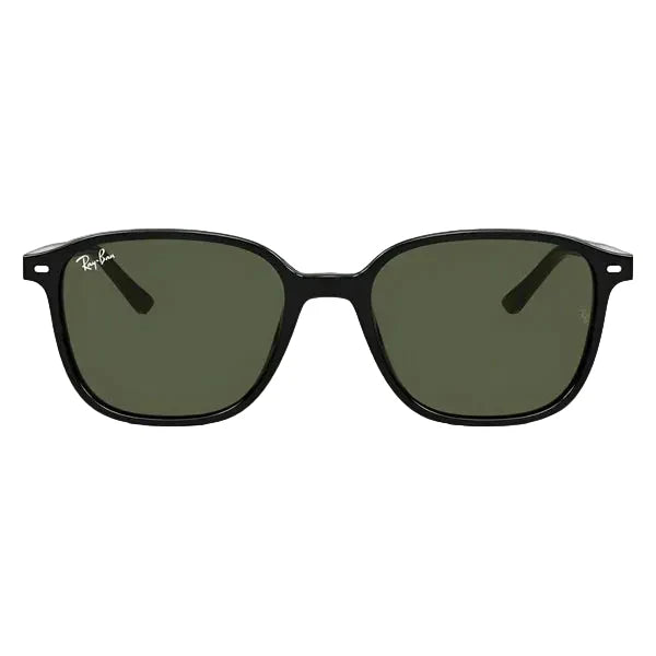 RAY-BAN, Ochelari de soare, LEONARD RB2193 - 901/31